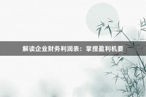 解读企业财务利润表：掌捏盈利机要