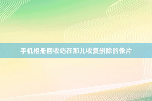 手机相册回收站在那儿收复删除的像片